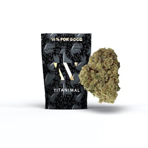 Photo of WINK TITANIMAL