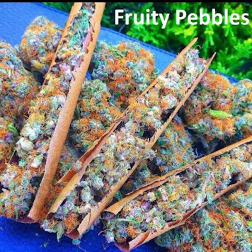 Photo of Fruity Pebbles Fem Seeds