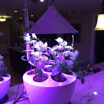 Photo of Indoor Hydroponic Growing System - H601-C