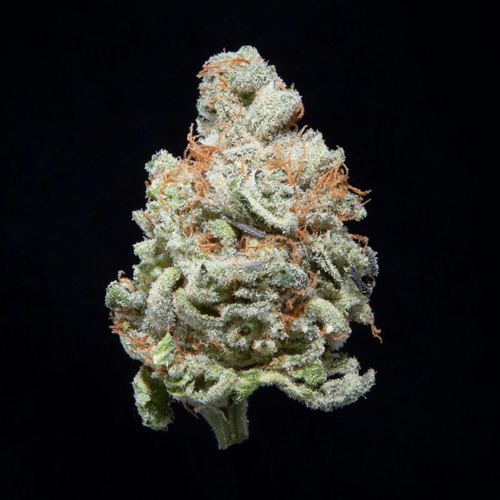 Falcanna: Diesel Thai Shake | Leafly