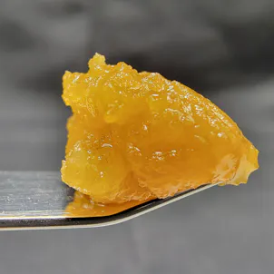 Photo of Mimosa Diamond Badder