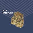 Product image for Blue Hashplant (BHP)