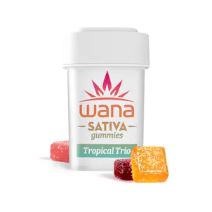 Photo of Classic Assorted Tropical Trio Sativa