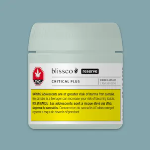 Photo of Critical Plus