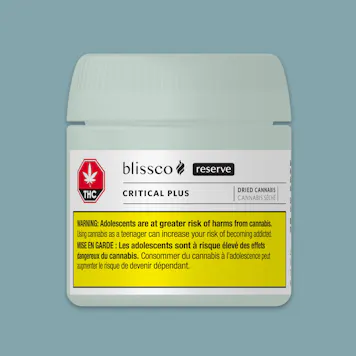 Photo of Critical Plus