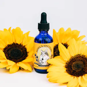Photo of Howl's Daytime Tincture 2oz