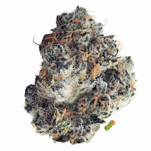 Photo of Peanut Butter Breath | 1/8