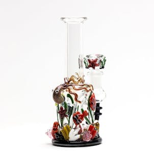 Photo of Under the Sea Mini Rig