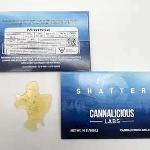 Photo of Mimosa Shatter