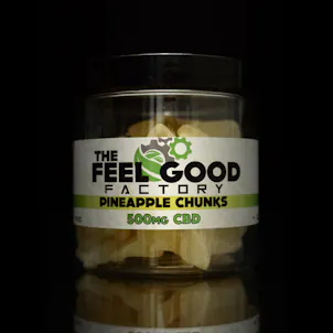 Photo of Dried Fruit (500mg)