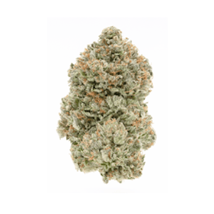 Photo of BC Organic Island Pink Kush TM FRD Cut