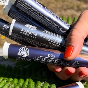 Photo of DZ3 Single Preroll 1g - Sunrise Mountain Farms