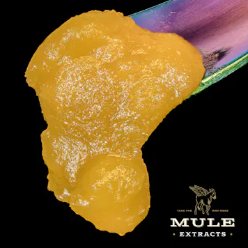 Photo of 1g Live Resin Badder Pineapple Thai Sativa 70.9%
