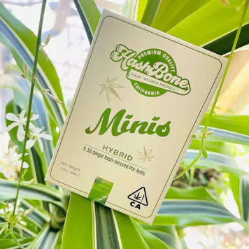 Photo of HashBone Minis | White Tahoe Cookies / Gelato Cream Hybrid | 5 .5g Pre-rolls