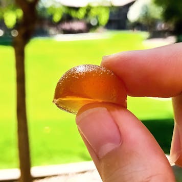 Photo of LEAFCURE CBD GUMMIES