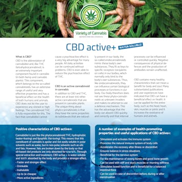 Photo of CBD Active+