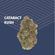 Product image for Cataract Kush