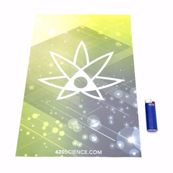 Photo of 420 Science Poster