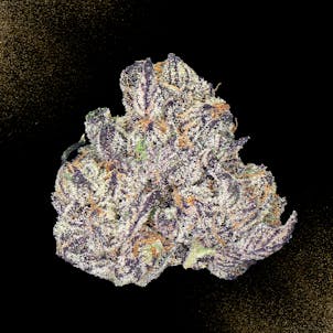 Photo of Purple Thunder