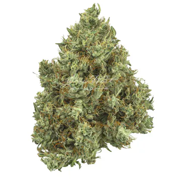 Photo of Lilac Diesel Trimmed | Gold