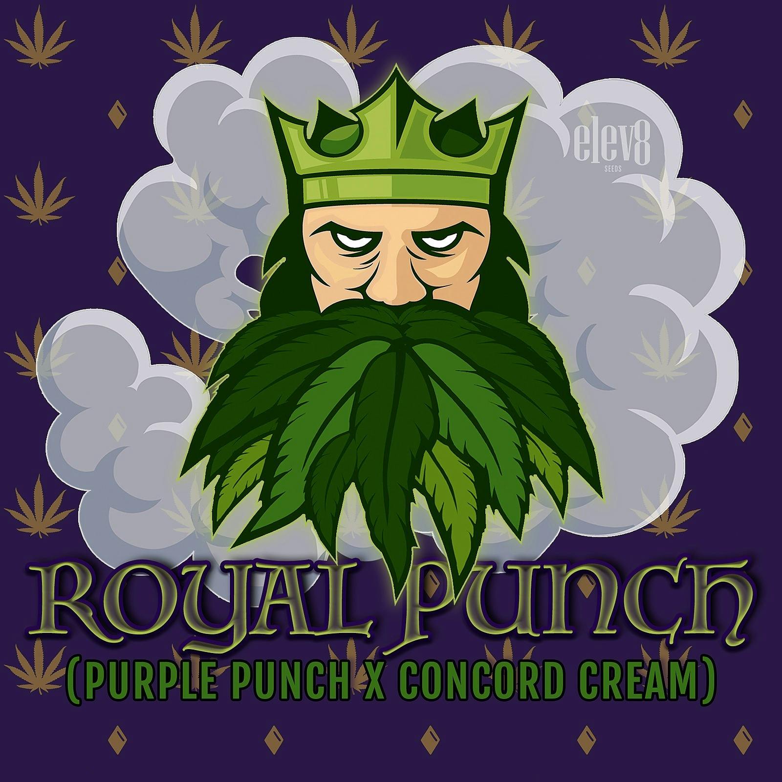 Elev8 Seeds Royal Punch Leafly