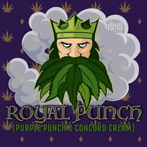 Product image for Royal Punch