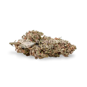 Photo of G13 Autoflower Seeds