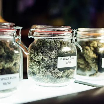 Photo of How To Open a Dispensary Certification Program