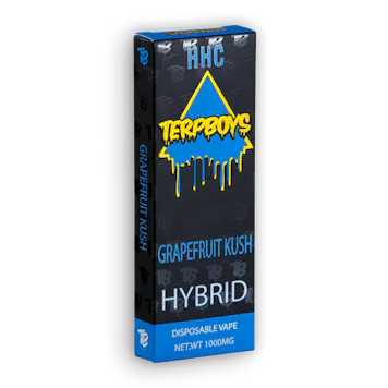 Photo of Hybrid HHC Disposable Vapes 1000mg