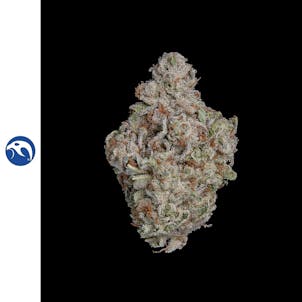 Photo of Oceanic Orange