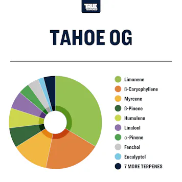 Photo of Tahoe OG Profile Strain