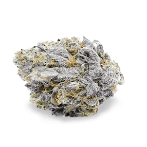 Photo of Granddaddy Purple Feminized Seeds