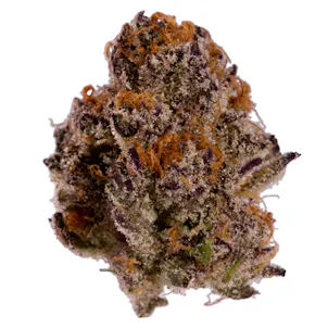 Photo of Purple Punch