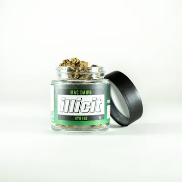 Photo of MAC Dawg 7G Popcorn Flower