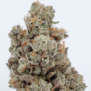 Photo of Leftovers #11