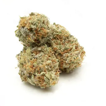 Photo of Amnesia Trance Feminized