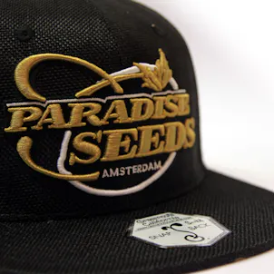 Photo of Black-Gold Hemp Snapback