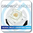 Product image for Guava Jelly x Sour San Souci Live Hash Rosin Cartridge (.5g)