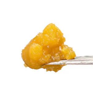 Photo of Berry Gelato Live Resin Badder