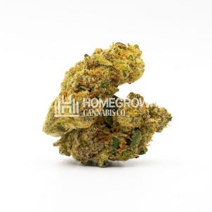 Photo of Shishkaberry Kush Feminized