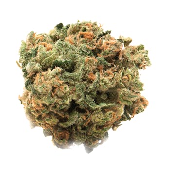 Photo of Namaste Citrique