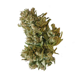 Photo of Certified Organic Hemp Flower - Strain: Lavender CBG