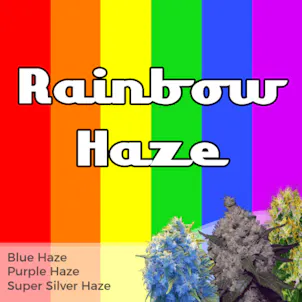 Photo of Rainbow Haze Mixpack