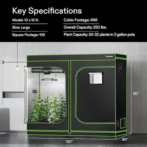 Photo of VIVOSUN 10x10 Grow Tent 120"x120"x80"
