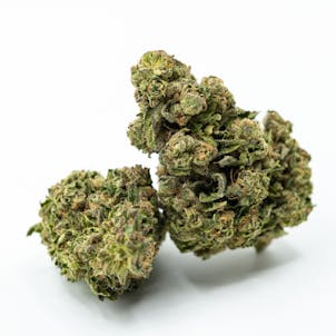 Photo of Marley Green, Hybrid: Wedding Pie