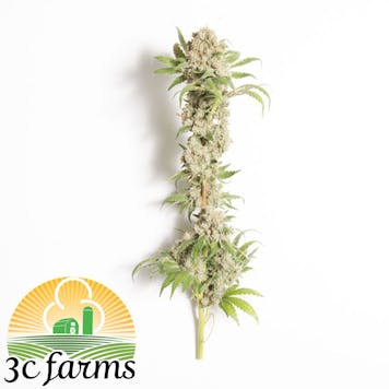 Photo of 3C Banana Kraken