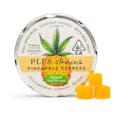 PLUS Strains Pineapple Express