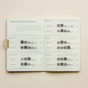 Photo of The Patient Journal: A Medical Cannabis Companion