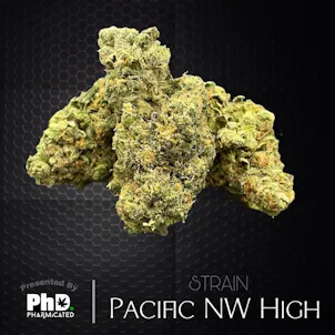 Photo of PhD Indoor Flower - Pacific NW High