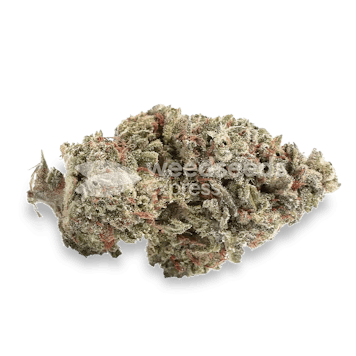 Photo of Peanut Butter Breath Feminized Seeds